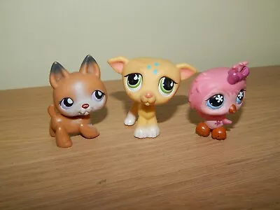 Littlest Pet Shop Lps Figures Bundle C8 • £6