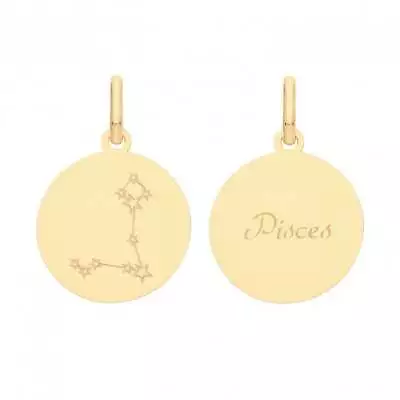 9ct Yellow Gold Zodiac Constellation Pisces PN1232 • £162