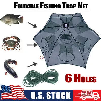 Green Foldable 6 Holes Fishing Net Minnow Crab Lobster Baits Cast Mesh Trap USA • $11.77