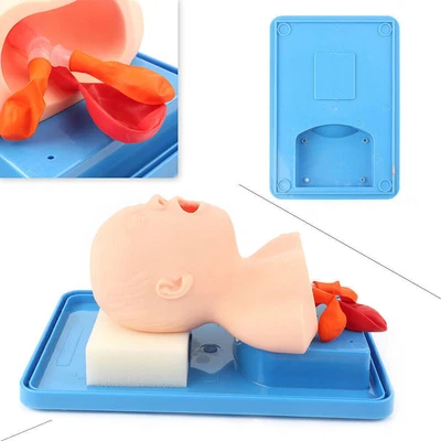 $104.13 • Buy 1x Intubation Manikin Study Teaching Model Baby Infant Airway Management Trainer