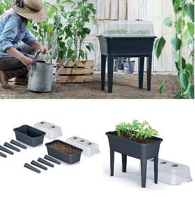Elevated Greenhouse Plastic Raised Garden Bed Planter Pot Box Plant Kit With Lid • £32.65