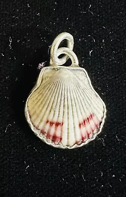 Sterling Silver Like Sunrise Shell White Pink Siesta Key Pectin Pendant • $65