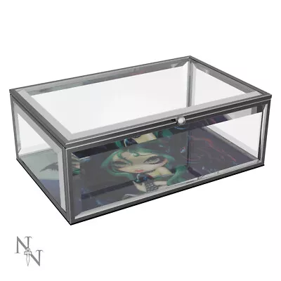 Jasmine Becket Griffith Glass Jewellery Box  PERCHED SAT & NOTHING MORE  Boxed • £13.99