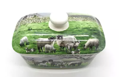 THE COUNTRY SHEEP  Lesser & Pavey Butter Dish. Pre Loved • £4.99