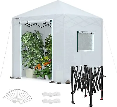 WORKPRO 8'x 8' Portable Walk-in Greenhouse Heavy Duty Gardening Canopy PE Cover • $154.99