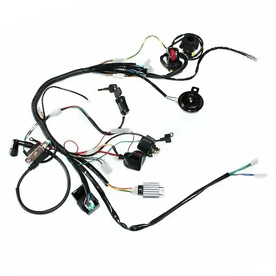 Rec Reg Engine Wire Wiring Harness Loom Kit Light Wires PIT PRO TRAIL Dirt Bike • $77.24