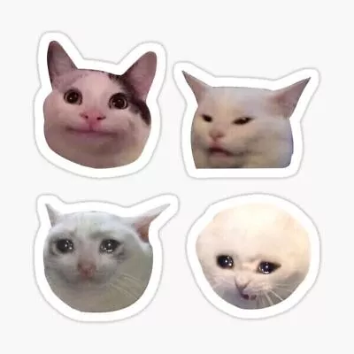 Cat Meme Stickers Cute • $3.10