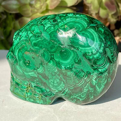 1.8LB Natural Gemstone Malachite Quartz Crystal Skull Carved Healing Reiki Stone • $0.99