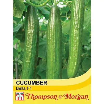 T&M Courgette Cucumber Vegetable Seeds Garden Plants 3 Options 4-12 Seed Packets • £2.99