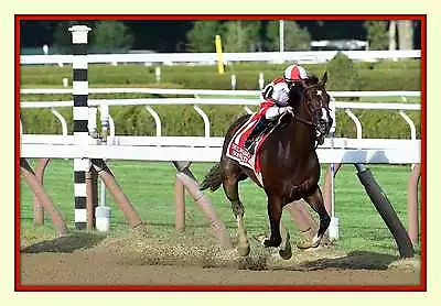 Flying Songbird American Oaks Saratoga Horse Race Track 11x14 Matd 8x12 Photo  • $39