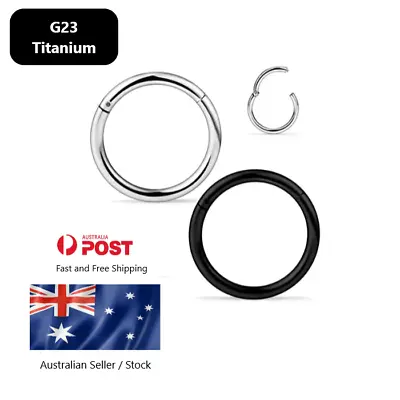 Hinged Segment Ring G23 Titanium Lip Ear Nose Piercing Clicker Hoop Septum • $3.99