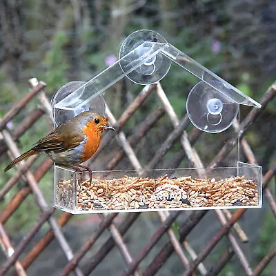 Glass Window Bird Feeder Station Seed Peanut Mealworm Suction Perspex Clear View • £6.49