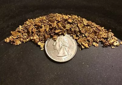 $36.50 • Buy PREMIUM Gold Nugget Paydirt - Look For LARGE Gold Nuggets Pickers Panning