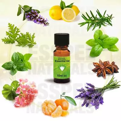 Pure 10 Ml Essential Oil Selection For Aromatherapy Home Fragrance Candle Making • £2.85