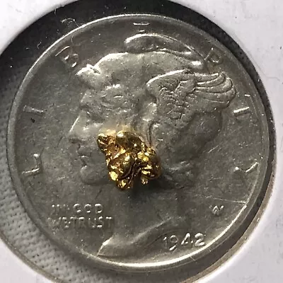 .120 Grams Natural Gold Nugget #1559 • $0.99