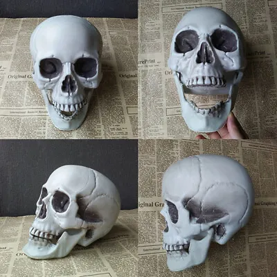 Halloween  Artificial Skull Head Model Skull Bone Scary Horror Skeleton Orna BAY • £3.08