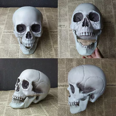 Halloween  Artificial Skull Head Model Skull Bone Scary Horror Skeleton Ornam XK • £4.93