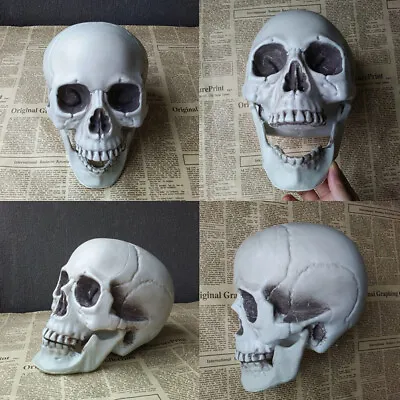 Halloween  Artificial Skull Head Model Skull Bone Scary Horror Skeleton OrnD-PN • £4.32