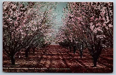 Postcard Grand Valley Cherry Trees Full Bloom Colorado Midland Railway L1D • $19.96