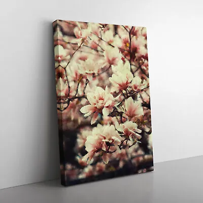 A Pink Magnolia Blossom Tree Canvas Wall Art Print Framed Picture Home Decor • $37.83