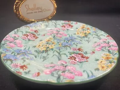 £42.97 • Buy Shelley MELODY CHINTZ   RIPON  6  PLATE  -  GREEN  TRIM   #13453
