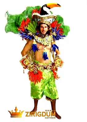 Mens Mardi Gras Costumes Fancy Dress For Men Male Halloween Costume Costumes • $589