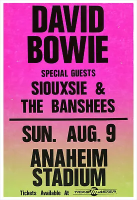$21.50 • Buy David Bowie - Siouxsie And The Banshees - Concert Poster Print 