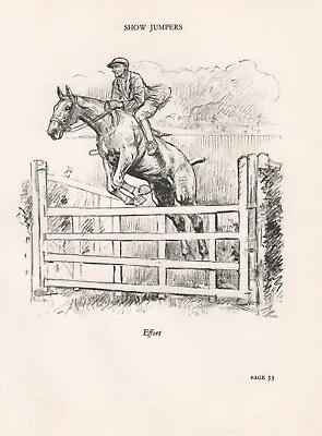 Original Vintage Horse Sketch Print Page 1937 By K F Barker Show Jumping • £5.99