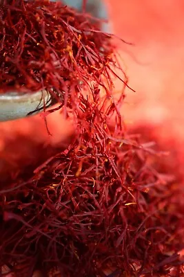 Pure Saffron Recently Harvested 1 Gram Super Negin 100%Premium GRADE A   • £5