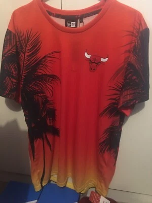 £22 • Buy New Era Chicago Bulls Summer City Print T-Shirt L