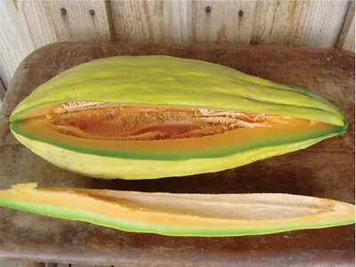 Banana Melon 20 - 100 Seeds Rare Sweet Heirloom Cantaloupe Musk Big Heirloom 24  • $2.36