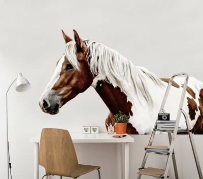 £200.39 • Buy 3D Horse N12 Animal Wallpaper Mural Poster Wall Stickers Decal Amy