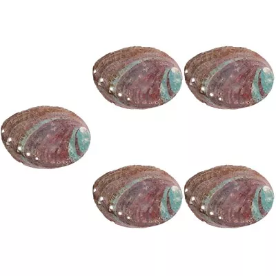  5 PCS Aromatherapy Stand House Decorations For Home Abalone Shell • £14.95