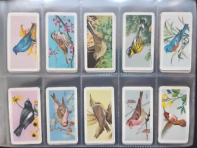 £9.99 • Buy A Complete Set Of Brooke Bond Canada Tea Cards Songbirds Of North America