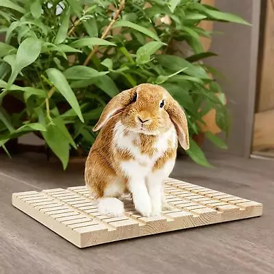 Rabbit Scratching Board Scratching Pad Cage Accessories Wooden Chew Toys For • £12.58