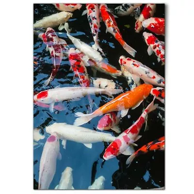 A1 - Koi Carp Pond Fish Japanese Poster 59.4x84.1cm180gsm Print #21766 • £10.99