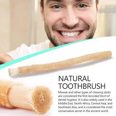 Miswak Natural Toothbrush Pilu Miswak Chewing Stick Meswak. • $2.08