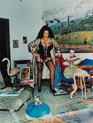 1999 Vintage Helmut Newton Photo Portrait  Vanessa Del Rio Photogravure 14x18 • $107.14