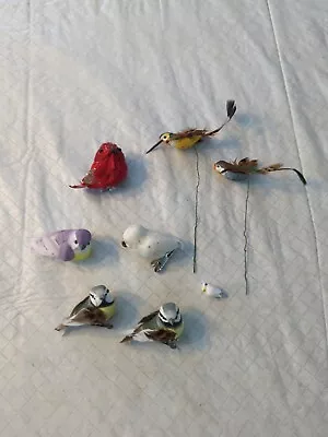 Eight Mushroom Birds On Clips And Pics For Crafts • $16