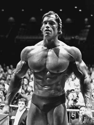 Arnold Schwarzenegger Bodybuilding Photo Poster Wall Print Arnie Mr Universe 04 • £10.47