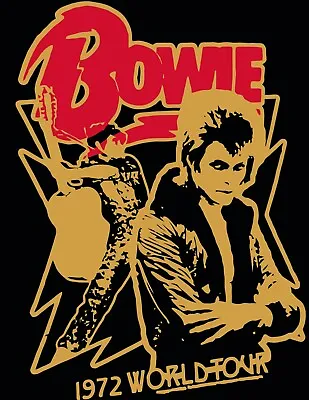 NEW David Bowie Tour Concert 1972 Poster Poster Print Canvas FREE SHIPPING • $57.76