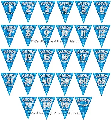 £2.98 • Buy 12ft Sparkly Blue Silver Triangle Flag Bunting Banner Birthday Party Decorations