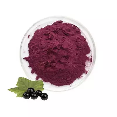 Maqui Berry Powder Freeze Dried Organic 200g • $26