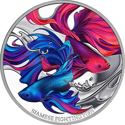 2024 Niue Siamese Fighting Fish 1 Oz Silver Proof Coin OGP • $119