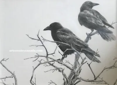 $22500 • Buy Robert BATEMAN Original Graphite On Masonite  Northwest Crows  One-of-a-kind ART