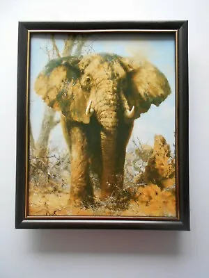 David Shepherd Elephant Print FRAMED • £22