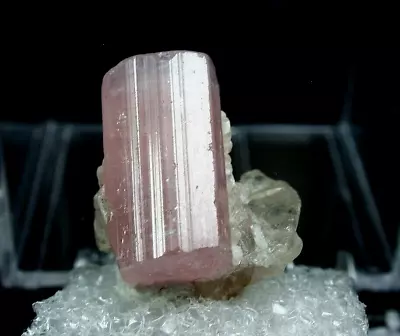 Minerals : Terminated Rubellite Xtl With Muscovite From Paprok In Afghanistan • $2.25