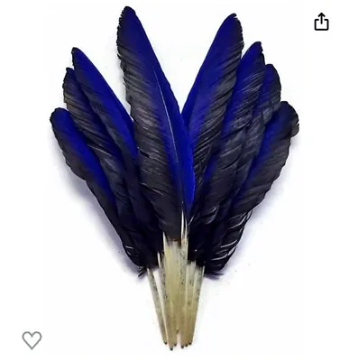 Macaw Feathers - Iridescent Blue Hyacinth Macaw Wing Feathers (Rare) - 6 Pieces • $80