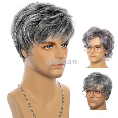 Fashion Mens Short Straight Full Hair Wig Grey Natural Hair Wigs Cosplay Party • $14.99