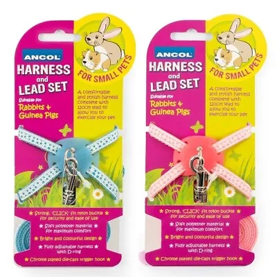 Ancol Rabbit & Guinea Pig Harness & Lead Just4Pets For Small Animal Pink Or Blue • £7.19